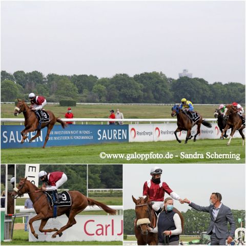 Der Favorit für das Sparkasse KölnBonn-Union-Rennen: Wonderful Moon mit Andrasch Starke gewinnt das Cologne Classic. www.galoppfoto.de - Sandra Scherning