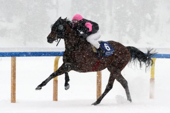 Sieg im Schneegestöber: Zarras gewinnt mit Eduardo Pedroza in St. Moritz. www.galoppfoto.de - Peter Heinzmann